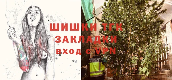 ПСИЛОЦИБИНОВЫЕ ГРИБЫ Гусиноозёрск