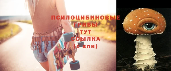 ПСИЛОЦИБИНОВЫЕ ГРИБЫ Гусиноозёрск