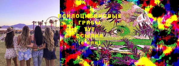 винт Дмитриев